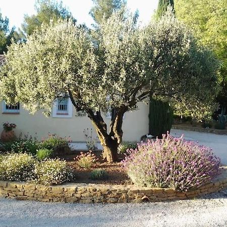 サナリー・シュル・メール Maison Privee Au Calme Dans Mas Provencalヴィラ エクステリア 写真