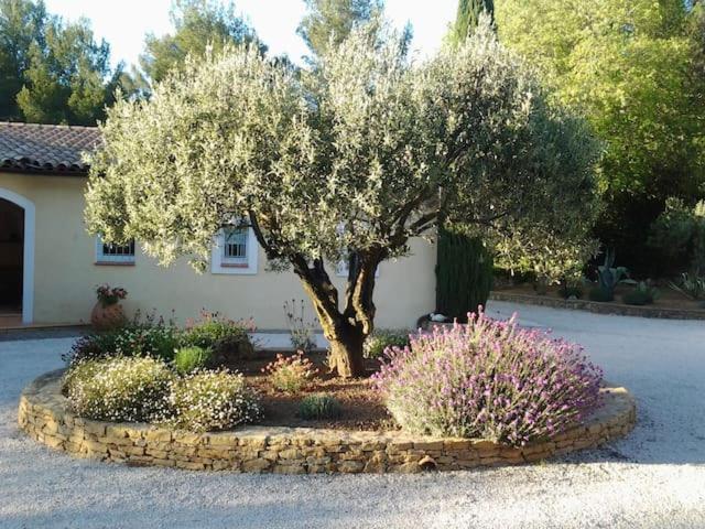 サナリー・シュル・メール Maison Privee Au Calme Dans Mas Provencalヴィラ エクステリア 写真
