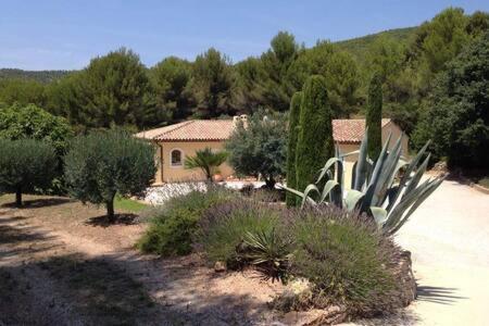 サナリー・シュル・メール Maison Privee Au Calme Dans Mas Provencalヴィラ エクステリア 写真