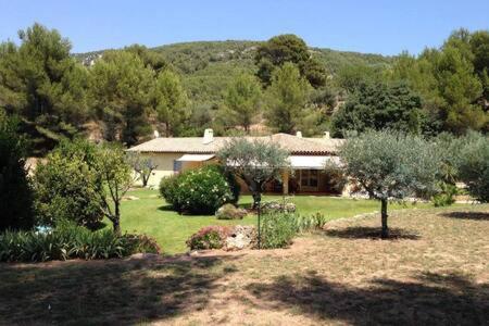サナリー・シュル・メール Maison Privee Au Calme Dans Mas Provencalヴィラ エクステリア 写真